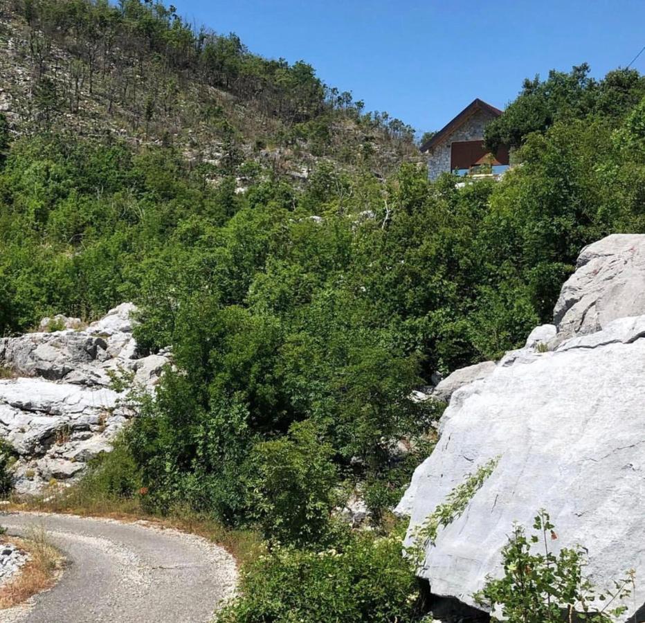 House On The Hill Villa Cetinje Bagian luar foto