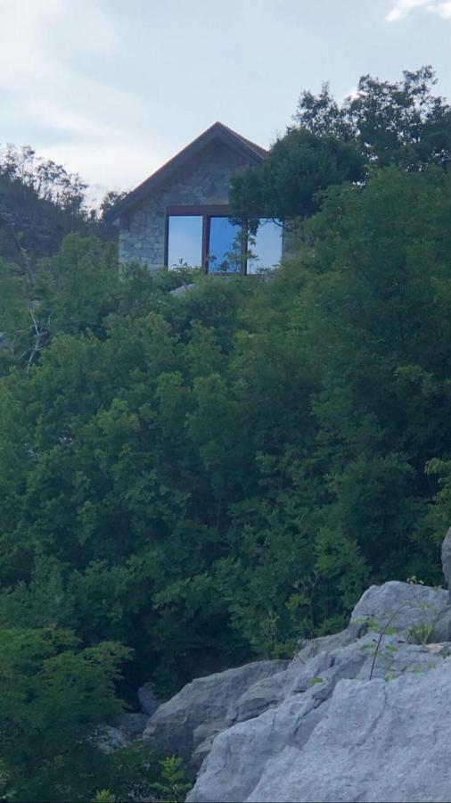 House On The Hill Villa Cetinje Bagian luar foto
