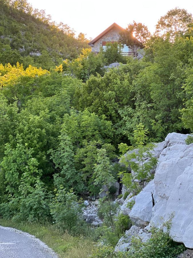 House On The Hill Villa Cetinje Bagian luar foto